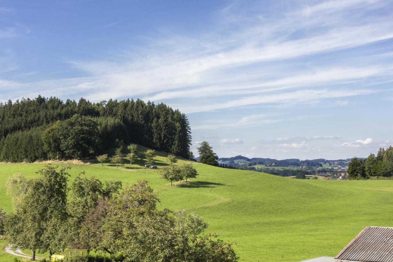 Apartment Landzeit Neukirch  ภายนอก รูปภาพ